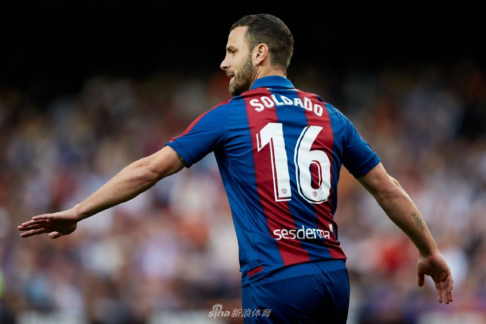 他们的表现 他们的表现